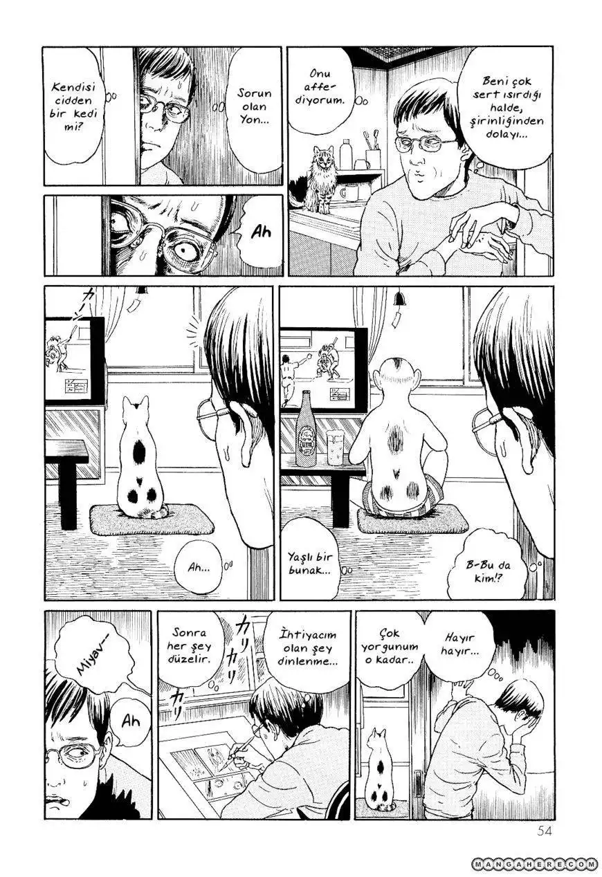 Ito Junji's Cat Diary Chapter 5 8